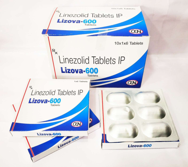 lizova 600